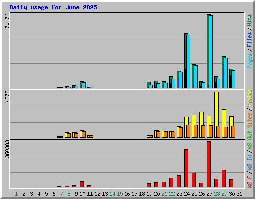 Daily usage for June 2025