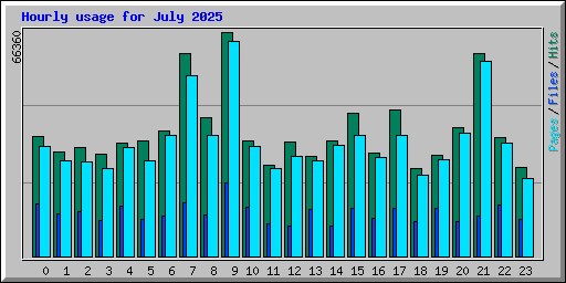 Hourly usage for July 2025