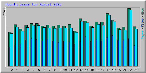 Hourly usage for August 2025